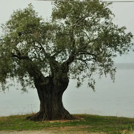 Nyaraló Diomidi's House *