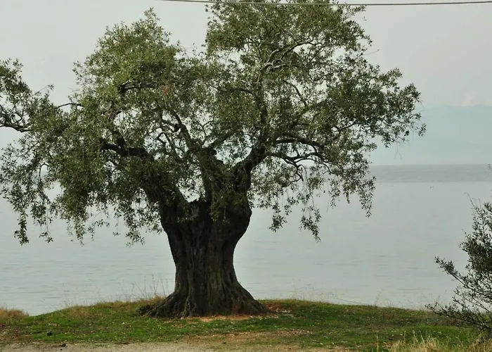 בית נופש Diomidi's House *